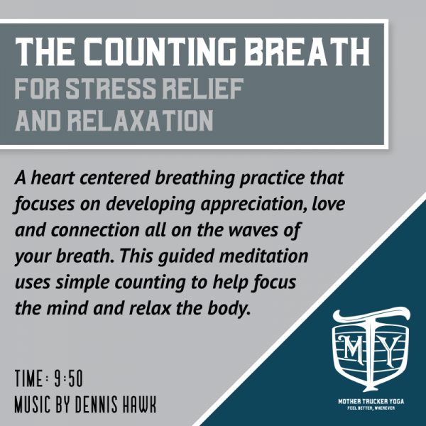 Count Breath Meditation 