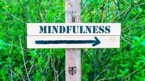 This way to mindfulness blog mother trucker yoga