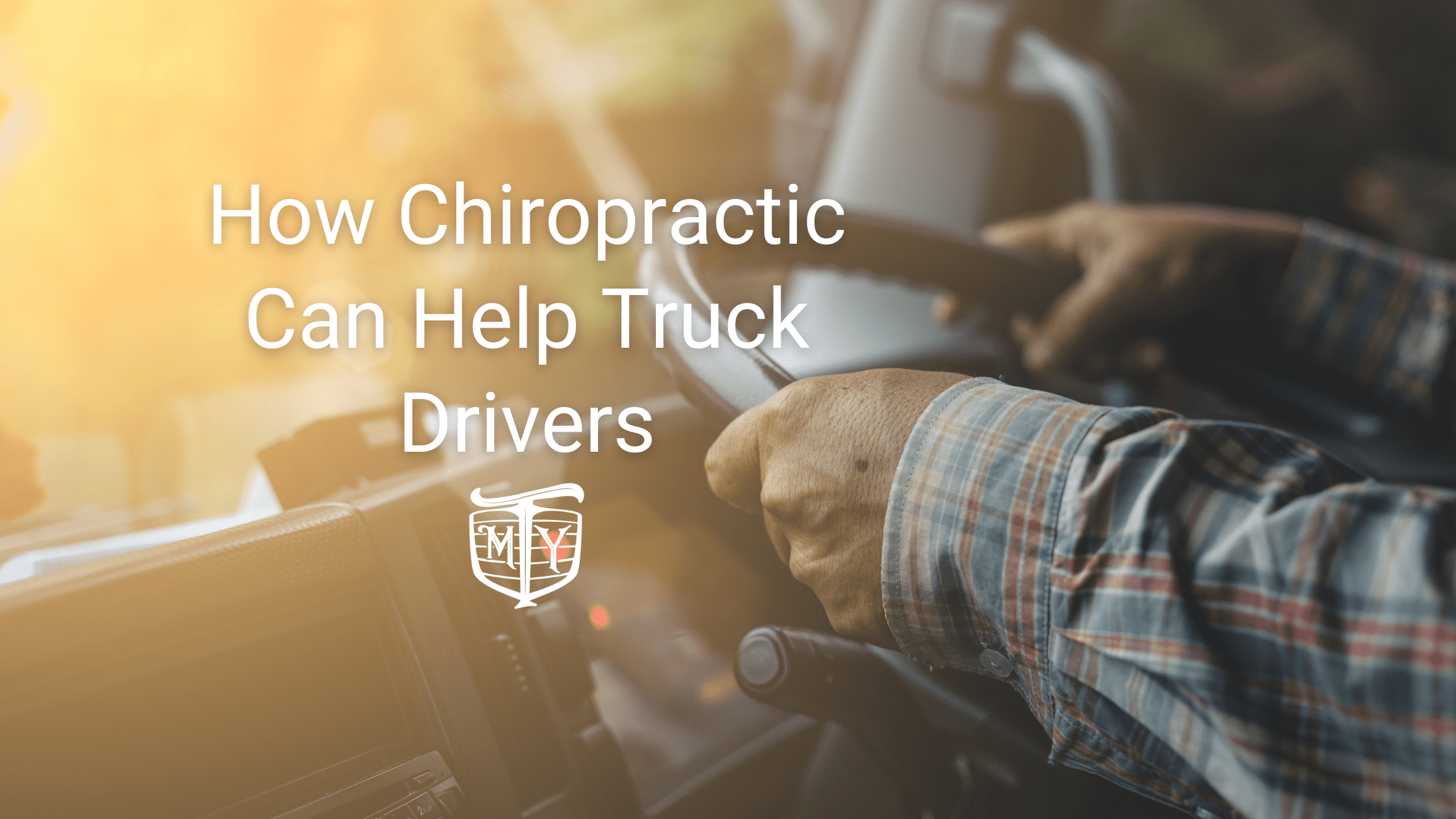 Truck Driver Back Pain: Tips to Reduce Musculoskeletal Pain for Truck  Drivers