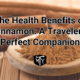 The Health Benefits of Cinnamon: A Traveler's Perfect Companion Mother Trucker Yoga Cover image